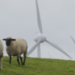 P1000261 Windräder hinterm Deich