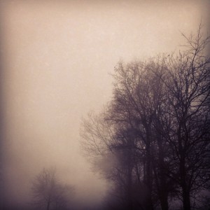 NEBEL